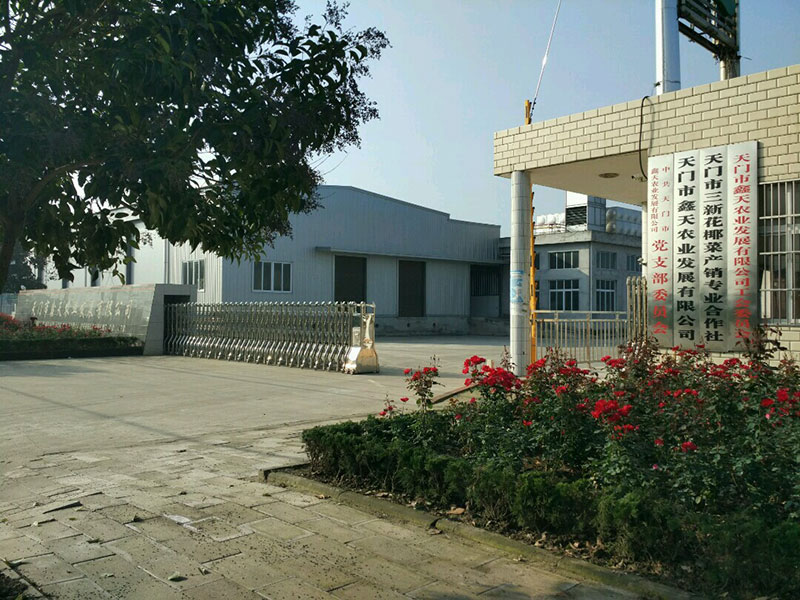 鑫天农业大门外景展示