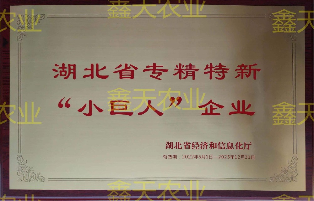湖北省专精特新“小巨人”